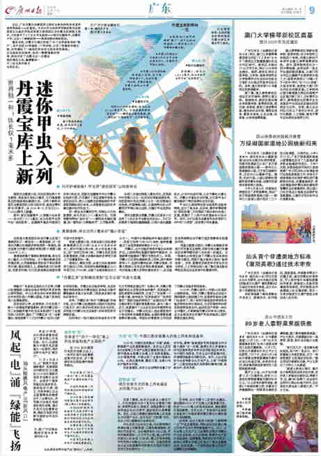 汕頭首個(gè)非遺類地方標(biāo)準(zhǔn)《潮陽(yáng)英歌》通過技術(shù)審查