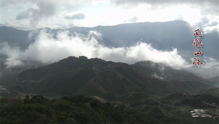 潮州市扎實(shí)推進(jìn)鳳凰單叢茶地理標(biāo)志示范區(qū)建設(shè)